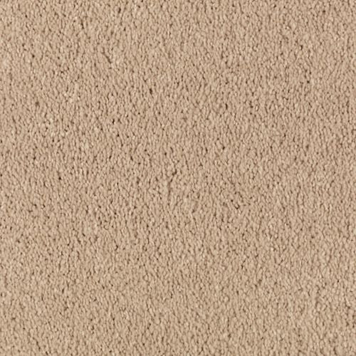 Berkely Estate|Maple Tint|PG217-503 - Sample