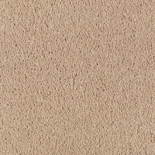 Load image into Gallery viewer, Absolute Elegance II|Maple Tint|2N35-503 - Sample