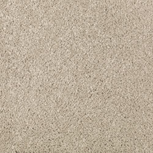 Absolute Elegance II|Sand Dollar|2N35-517 - Sample