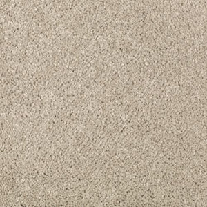 Absolute Elegance II|Sand Dollar|2N35-517 - Sample