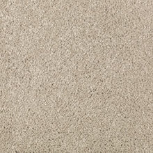 Load image into Gallery viewer, Absolute Elegance II|Sand Dollar|2N35-517 - Sample