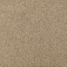 Load image into Gallery viewer, Absolute Elegance II|Brushed Suede|2N35-511 - Sample