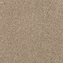 Load image into Gallery viewer, Absolute Elegance II|Hearth Beige|2N35-518 - Sample