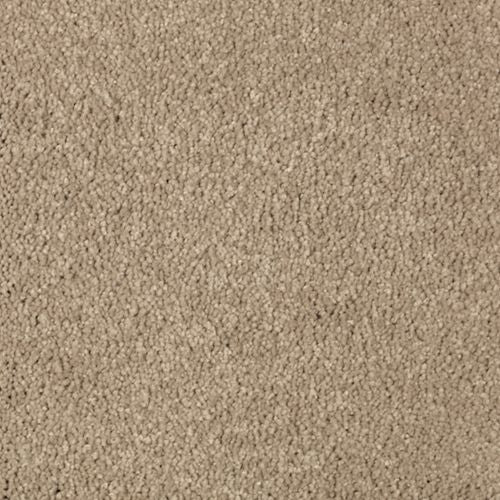 Berkely Estate|Toasted Bagel|PG217-514 - Sample