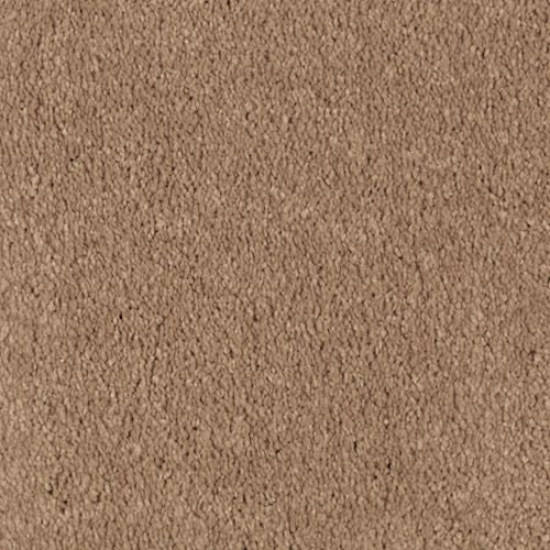 Absolute Elegance II|Glazed Ginger|2N35-504 - Sample