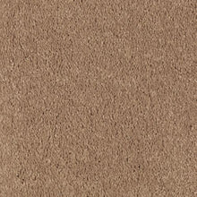 Load image into Gallery viewer, Absolute Elegance II|Glazed Ginger|2N35-504 - Sample