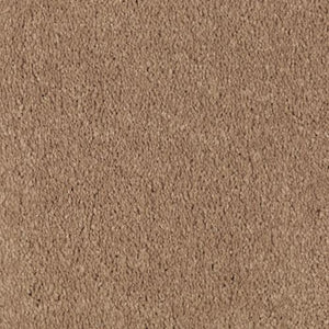 Absolute Elegance II|Glazed Ginger|2N35-504 - Sample