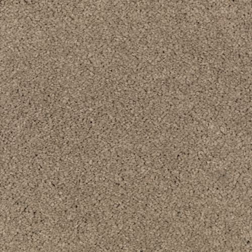 Absolute Elegance II|Urban Taupe|2N35-523 - Sample