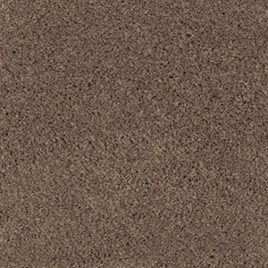 Absolute Elegance II|Rich Earth|2N35-516 - Sample