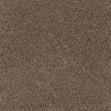 Load image into Gallery viewer, Berkely Estate|Rich Earth|PG217-516 - Sample