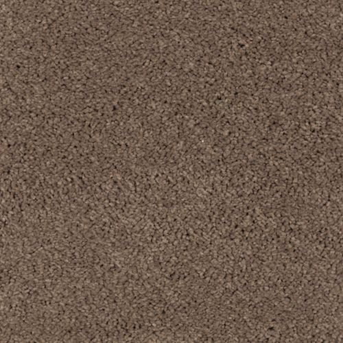 Absolute Elegance II|Rich Earth|2N35-516 - Sample