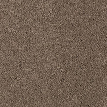 Load image into Gallery viewer, Absolute Elegance II|Pine Cone|2N35-520 - Sample
