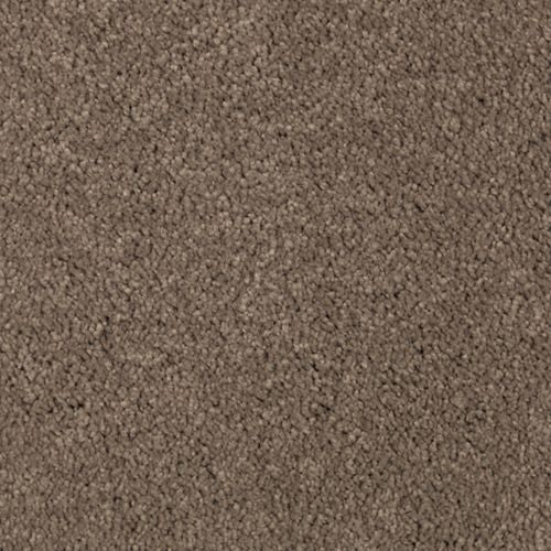 Absolute Elegance II|Pine Cone|2N35-520 - Sample