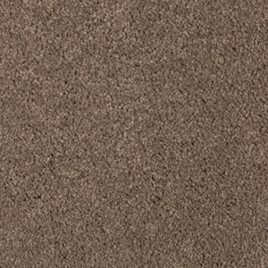 Absolute Elegance II|Pine Cone|2N35-520 - Sample