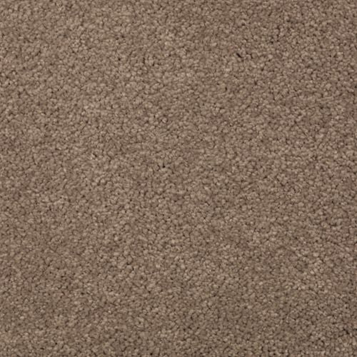 Berkely Estate|Cat-Tail|PG217-508 - Sample