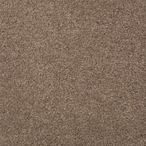 Absolute Elegance II|Cat-Tail|2N35-508 - Sample