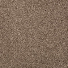 Load image into Gallery viewer, Absolute Elegance II|Cat-Tail|2N35-508 - Sample