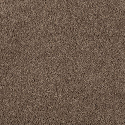 Absolute Elegance II|Nutmeg |2N35-512 - Sample