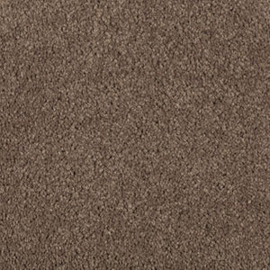Absolute Elegance II|Nutmeg |2N35-512 - Sample