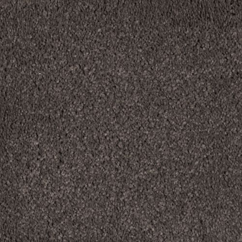 Berkely Estate|Dried Peat|PG217-524 - Sample