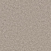Load image into Gallery viewer, Nature's Charm II|Mineral Grey|2N33-526 - Sample