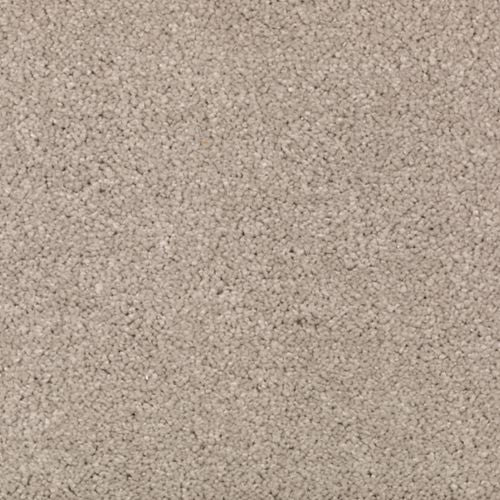 Absolute Elegance II|Overcast|2N35-522 - Sample