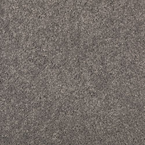 Absolute Elegance II|Evening Shadow|2N35-531 - Sample