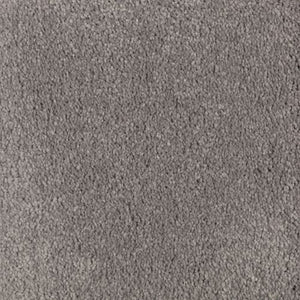 Absolute Elegance II|Stormwatch|2N35-527 - Sample