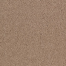 Load image into Gallery viewer, Luxurious Beauty|Sandalwood|43629-9832 - Sample