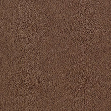 Load image into Gallery viewer, Lavish Affair|Tundra|2M05-9861 - Sample