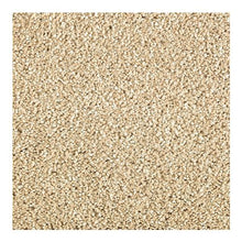Load image into Gallery viewer, Native Allure I|Beach Pebble|2N95-513 - Sample