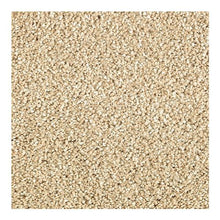 Load image into Gallery viewer, Pure Distinction II|Beach Pebble|2N98-513 - Sample