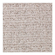 Load image into Gallery viewer, Design Solutions|Winter Delta|2M68-809 - Sample
