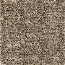 Load image into Gallery viewer, Artistic Tones|Bittersweet|BP66A-850 - Sample