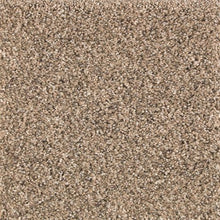 Load image into Gallery viewer, Avondale Estate|Thatched Straw|2P24-568 - Sample