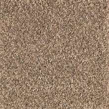 Load image into Gallery viewer, Avondale Estate|Autumn Brown|2P24-572 - Sample