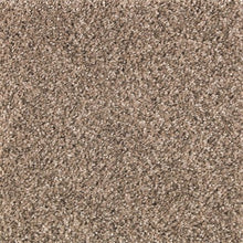 Load image into Gallery viewer, Avondale Estate|Hearthstone|2P24-566 - Sample