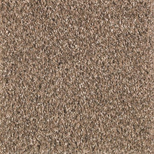 Load image into Gallery viewer, Avondale Estate|Woodland|2P24-571 - Sample