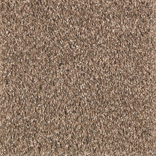 Avondale Estate|Woodland|2P24-571 - Sample