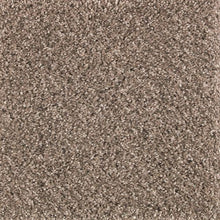 Load image into Gallery viewer, Rustic Splendor|Hazy Taupe|2P22-570 - Sample