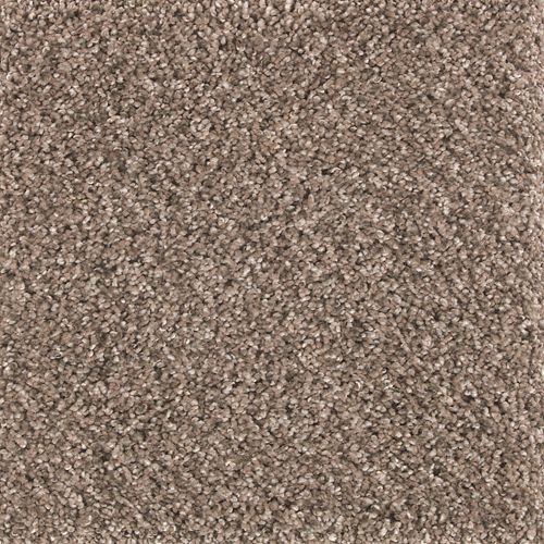 Avondale Estate|Hazy Taupe|2P24-570 - Sample