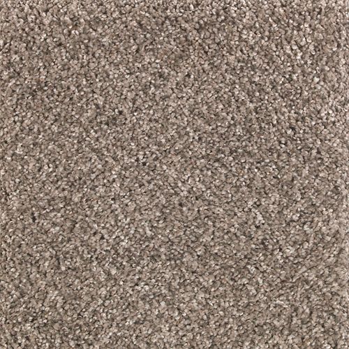 Avondale Estate|Rocky Coast|2P24-565 - Sample