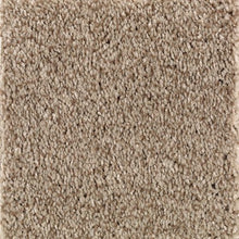 Load image into Gallery viewer, Beautiful Variety II|Saddle Brown|2N87-786 - Sample