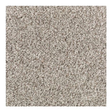 Load image into Gallery viewer, Natural Accents II|Taupe Illusion|2N85-819 - Sample