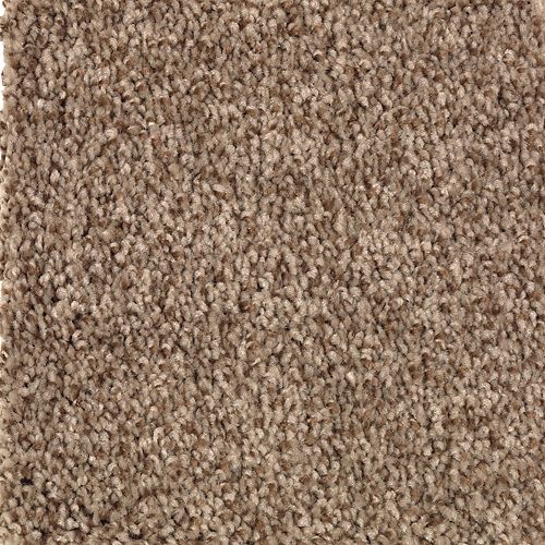 Beautiful Variety II|Desert Crackle|2N87-857 - Sample