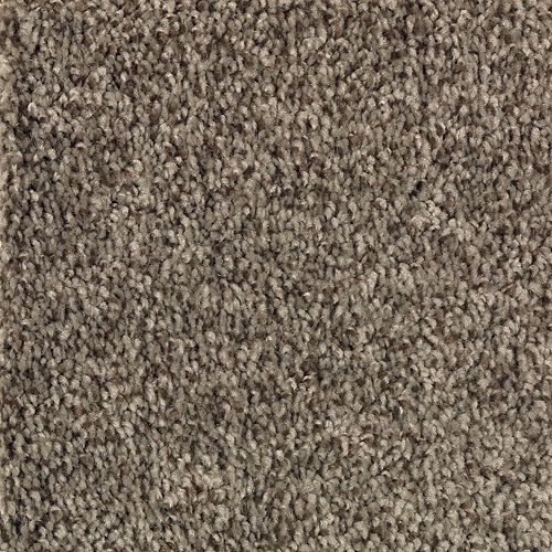 Beautiful Variety II|Black Walnut|2N87-869 - Sample