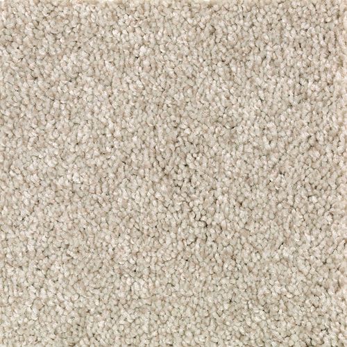 Beautiful Variety II|Coastal Fog|2N87-928 - Sample