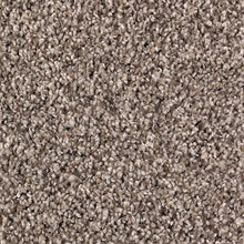 Load image into Gallery viewer, Elliot Park|Antique Earth|R145-868 - Sample