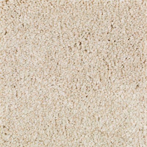 Beautiful Variety I|Ivory Mist|2N86-721 - Sample