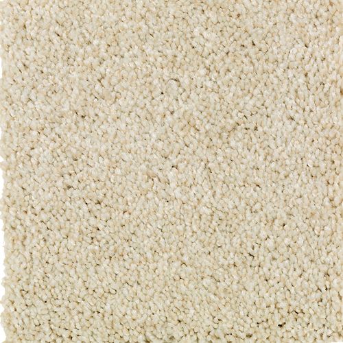 Beautiful Variety I|Crumb Cookie|2N86-736 - Sample